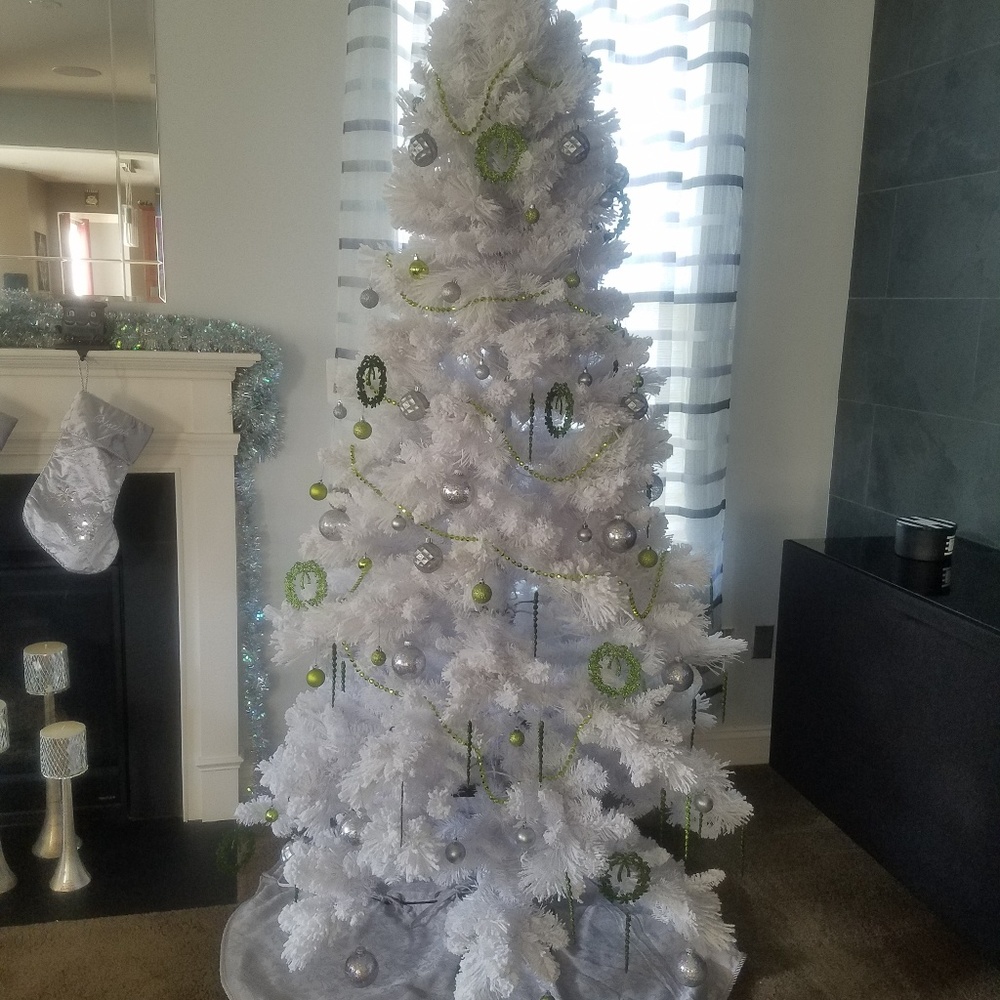 Meet your Posher, Jericsa